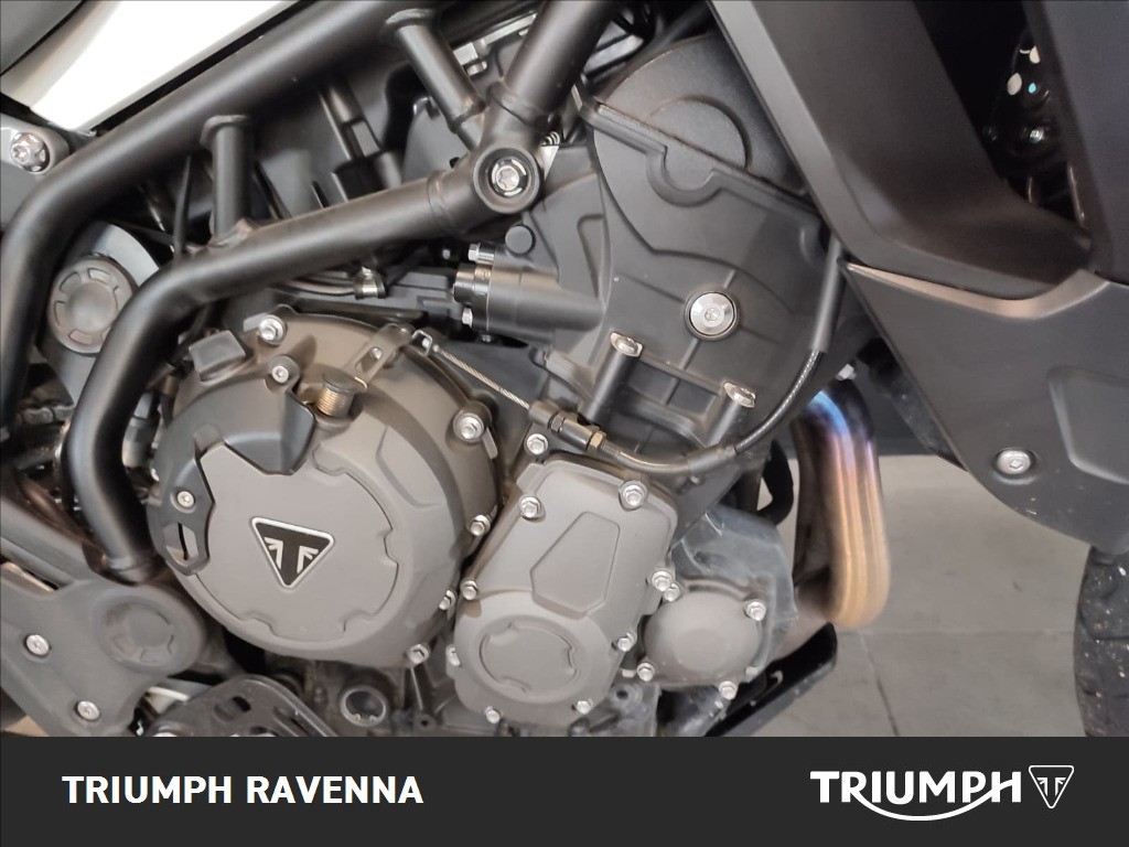 TRIUMPH Tiger 900 GT Abs