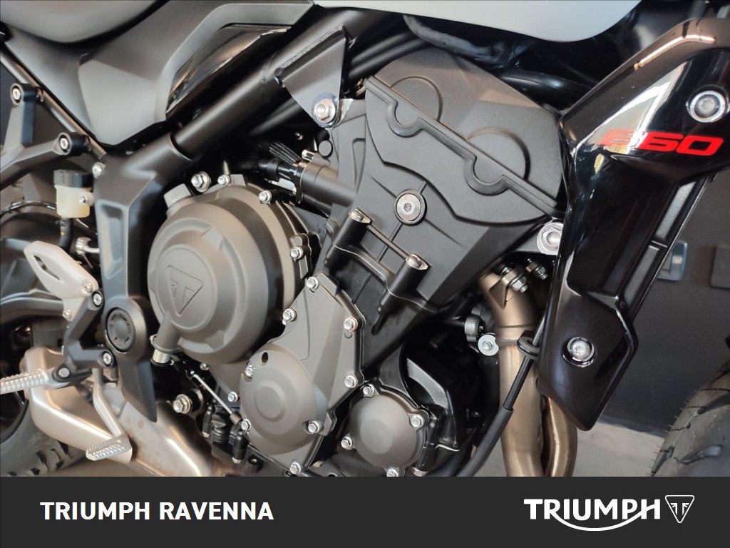 TRIUMPH Trident 660 Snowdonia White Abs